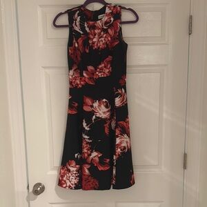 Calvin Klein Floral Sleeveless Dress - Black and Red